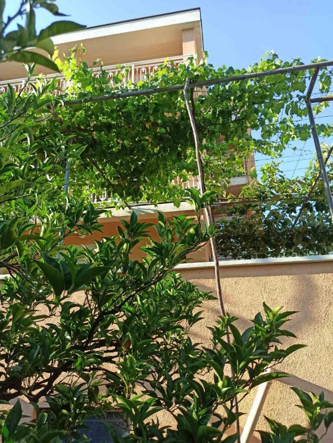 Apartments Parapid بودفا المظهر الخارجي الصورة